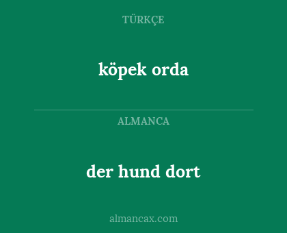 köpek orda - der hund dort