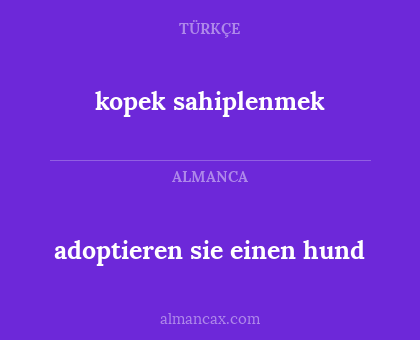 adoptieren sie einen hund - kopek sahiplenmek