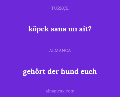 köpek sana mı ait? - gehört der hund euch