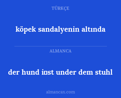 köpek sandalyenin altında - der hund i̇st under dem stuhl