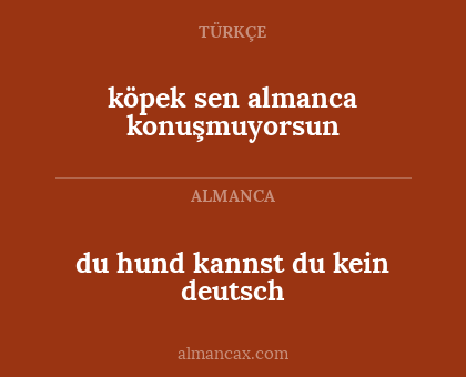 du hund kannst du kein deutsch - köpek sen almanca konuşmuyorsun