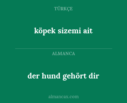 köpek sizemi ait - der hund gehört dir