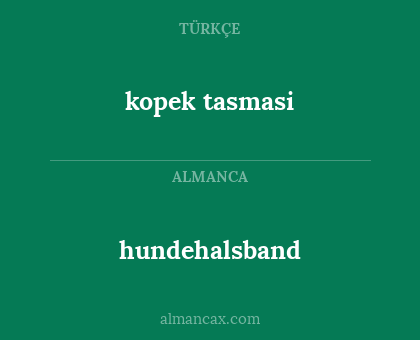 hundehalsband - kopek tasmasi
