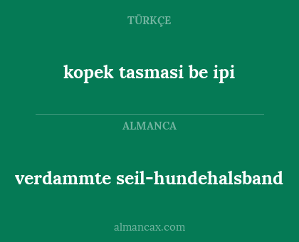 kopek tasmasi be ipi - verdammte seil-hundehalsband