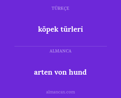 arten von hund - köpek türleri