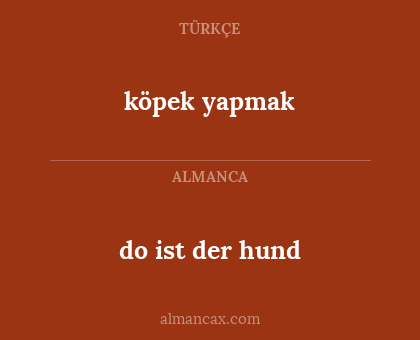 do ist der hund - köpek yapmak