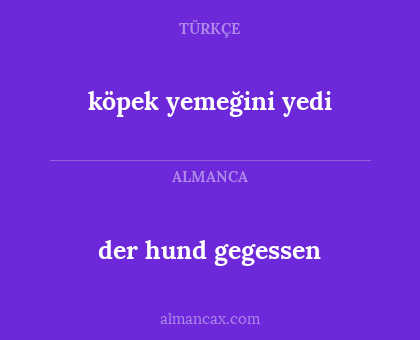 der hund gegessen - köpek yemeğini yedi