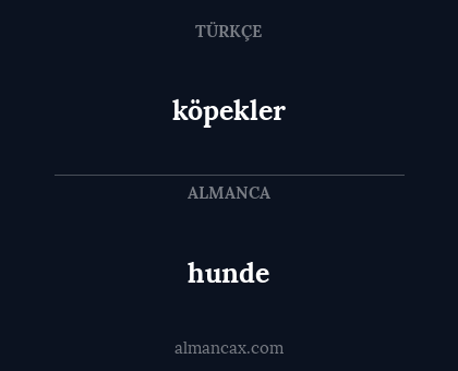 köpekler - hunde