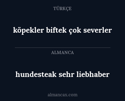 köpekler biftek çok severler - hundesteak sehr liebhaber