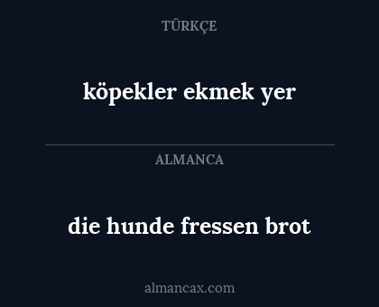 köpekler ekmek yer - die hunde fressen brot