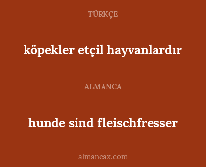 hunde sind fleischfresser - köpekler etçil hayvanlardır
