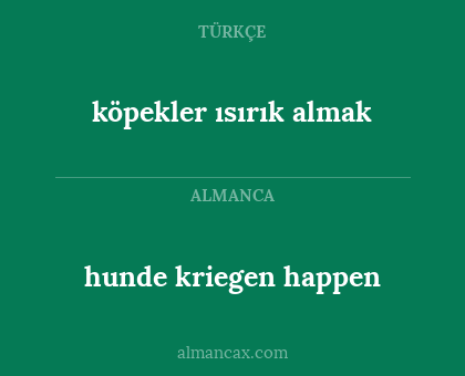 köpekler ısırık almak - hunde kriegen happen