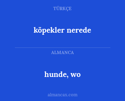 hunde, wo - köpekler nerede