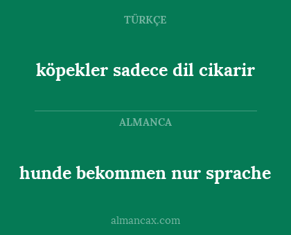 hunde bekommen nur sprache - köpekler sadece dil cikarir