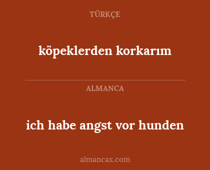 köpeklerden korkarım - ich habe angst vor hunden