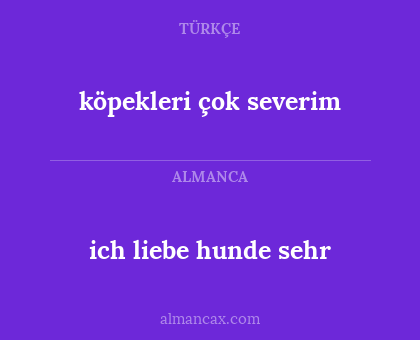 köpekleri çok severim - ich liebe hunde sehr