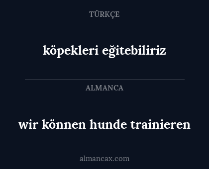 köpekleri eğitebiliriz - wir können hunde trainieren
