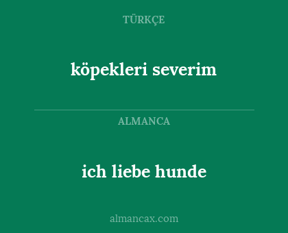 köpekleri severim - ich liebe hunde