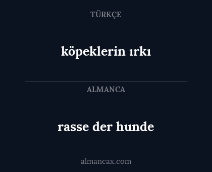 köpeklerin ırkı - rasse der hunde