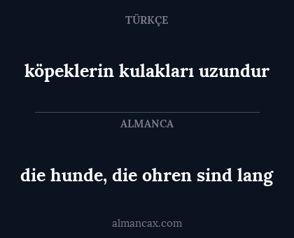 die hunde, die ohren sind lang - köpeklerin kulakları uzundur