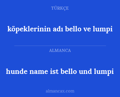 hunde name ist bello und lumpi - köpeklerinin adı bello ve lumpi