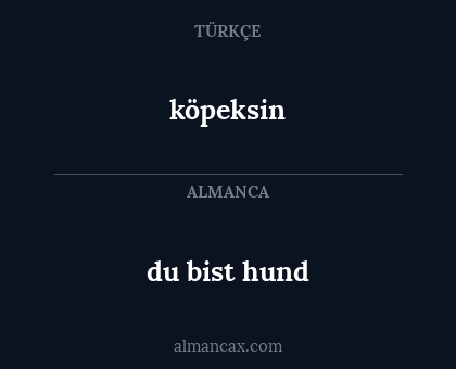 du bist hund - köpeksin