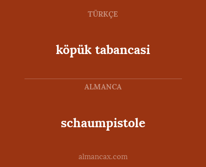 schaumpistole - köpük tabancasi