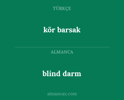 blind darm - kör barsak