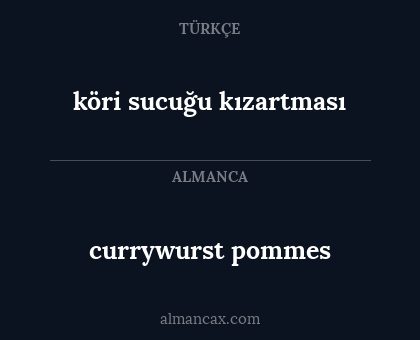 currywurst pommes - köri sucuğu kızartması