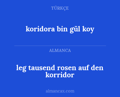 koridora bin gül koy - leg tausend rosen auf den korridor