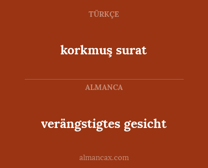 verängstigtes gesicht - korkmuş surat