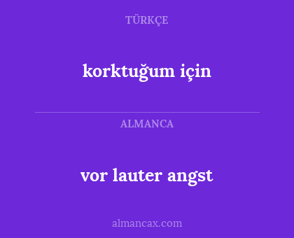 korktuğum için - vor lauter angst