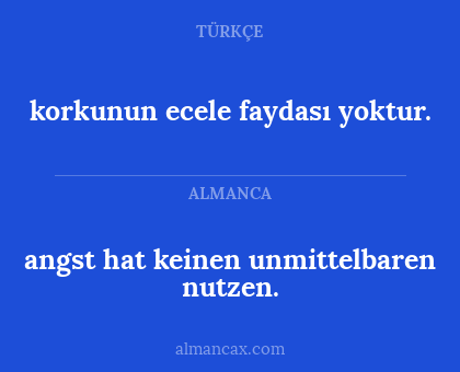 angst hat keinen unmittelbaren nutzen. - korkunun ecele faydası yoktur.