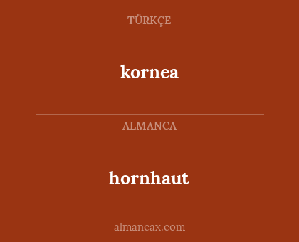 kornea - hornhaut