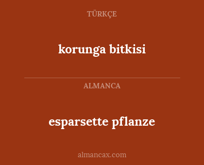 korunga bitkisi - esparsette pflanze
