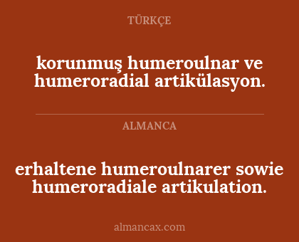 korunmuş humeroulnar ve humeroradial artikülasyon. - erhaltene humeroulnarer sowie humeroradiale artikulation.