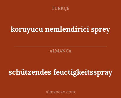 koruyucu nemlendirici sprey - schützendes feuctigkeitsspray