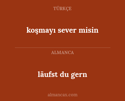 koşmayı sever misin - läufst du gern
