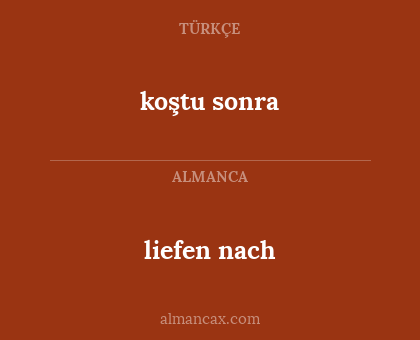 koştu sonra - liefen nach