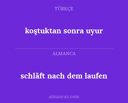 koştuktan sonra uyur - schläft nach dem laufen