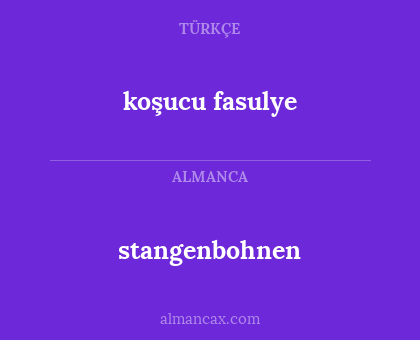 stangenbohnen - koşucu fasulye