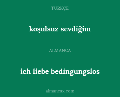 koşulsuz sevdiğim - ich liebe bedingungslos