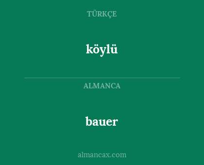 köylü - bauer