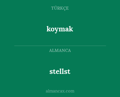 koymak - stellst