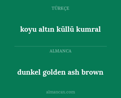 dunkel golden ash brown - koyu altın küllü kumral