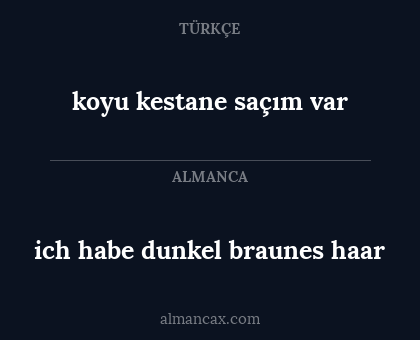 koyu kestane saçım var - ich habe dunkel braunes haar