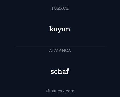 schaf - koyun