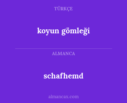 koyun gömleği - schafhemd