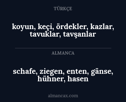 koyun, keçi, ördekler, kazlar, tavuklar, tavşanlar - schafe, ziegen, enten, gänse, hühner, hasen