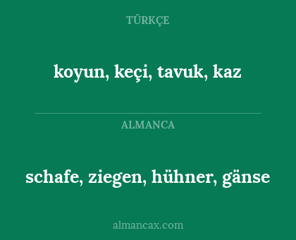 schafe, ziegen, hühner, gänse - koyun, keçi, tavuk, kaz